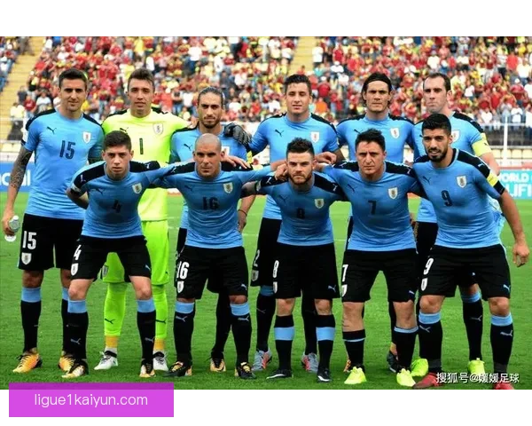 南美足球联赛对比：各联赛表现及球队状态分析